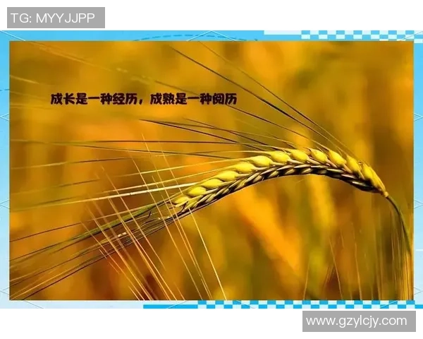 景菡一的成长旅程与心灵探索:从平凡到卓越的蜕变之路